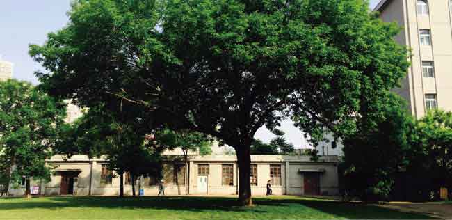 top art universities and design schools in china - Tianjin Acadademy of Fine Arts